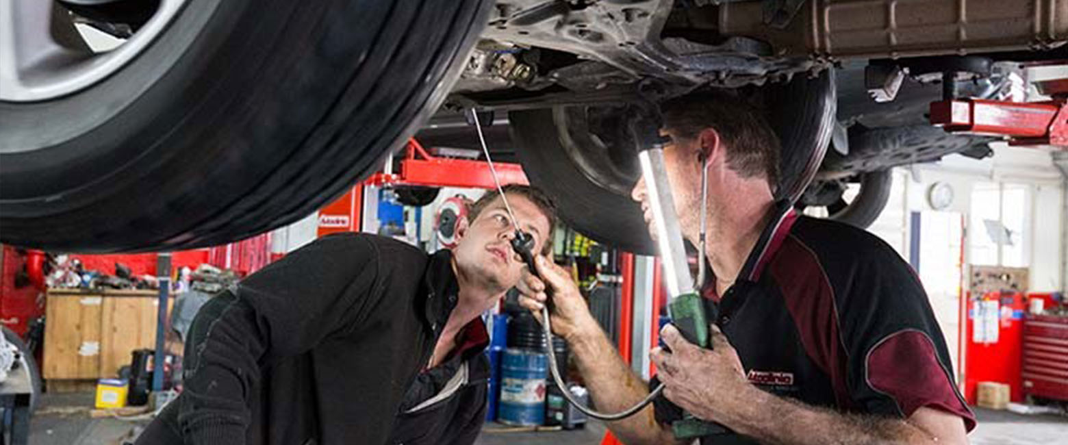 Can your business survive for two weeks without you?